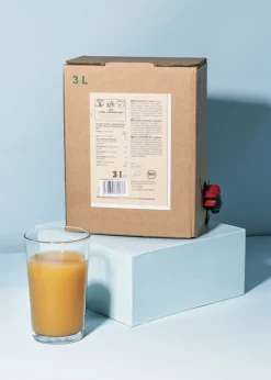 Bio Apfel-Ingwer-Saft 3 L