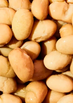 Bio Borlotti Bohnen in der Dose 250 g