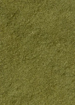 Bio Brennnessel Pulver 500 g