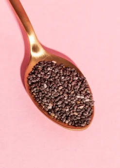 Bio Chia Samen 1 kg