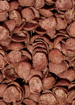 Bio Choco Shells mit Datteln gesüßt 1 kg