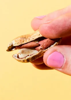 Bio Erdnüsse mit Schale 1 kg