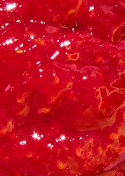 Bio Fruchtaufstrich Himbeere 460 g