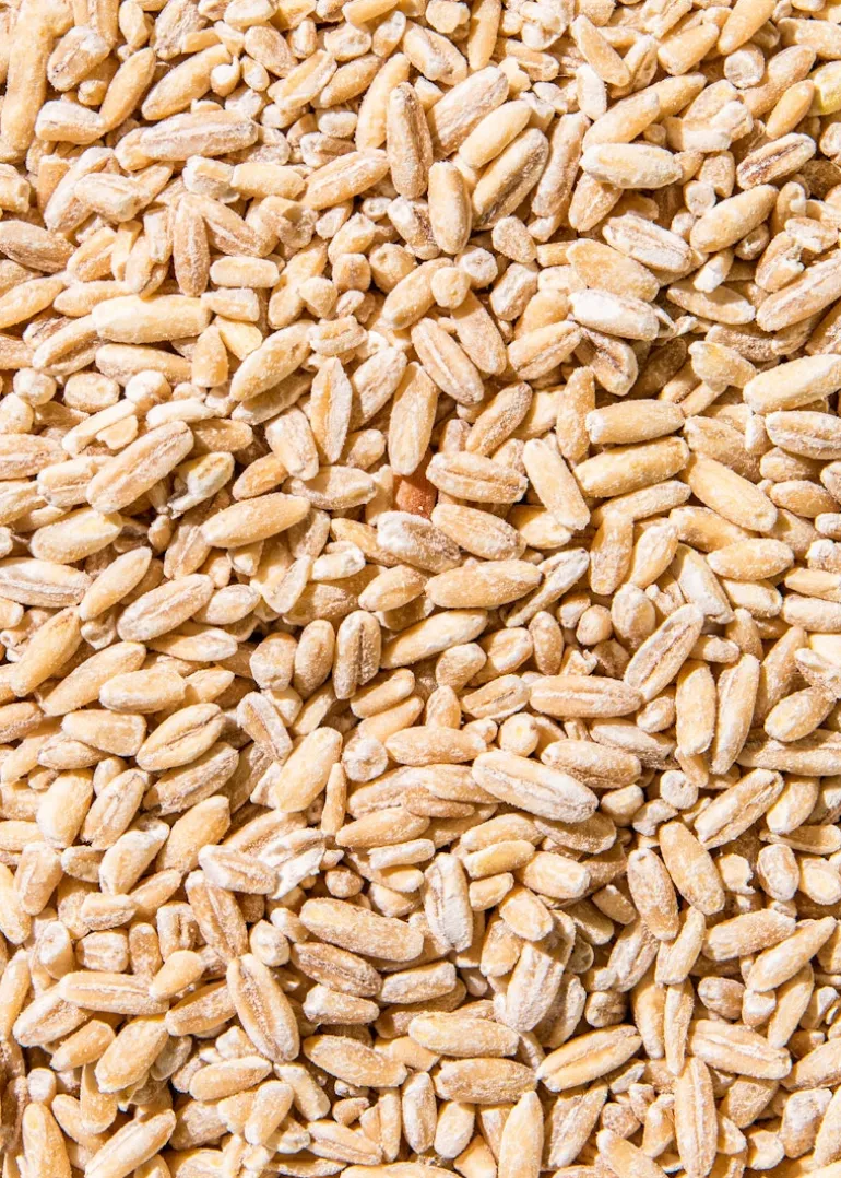 Bio Hafer wie Reis 1,5 kg