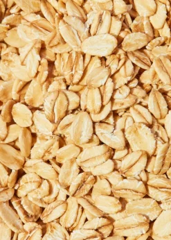 Bio Haferflocken Großblatt 2,5 kg