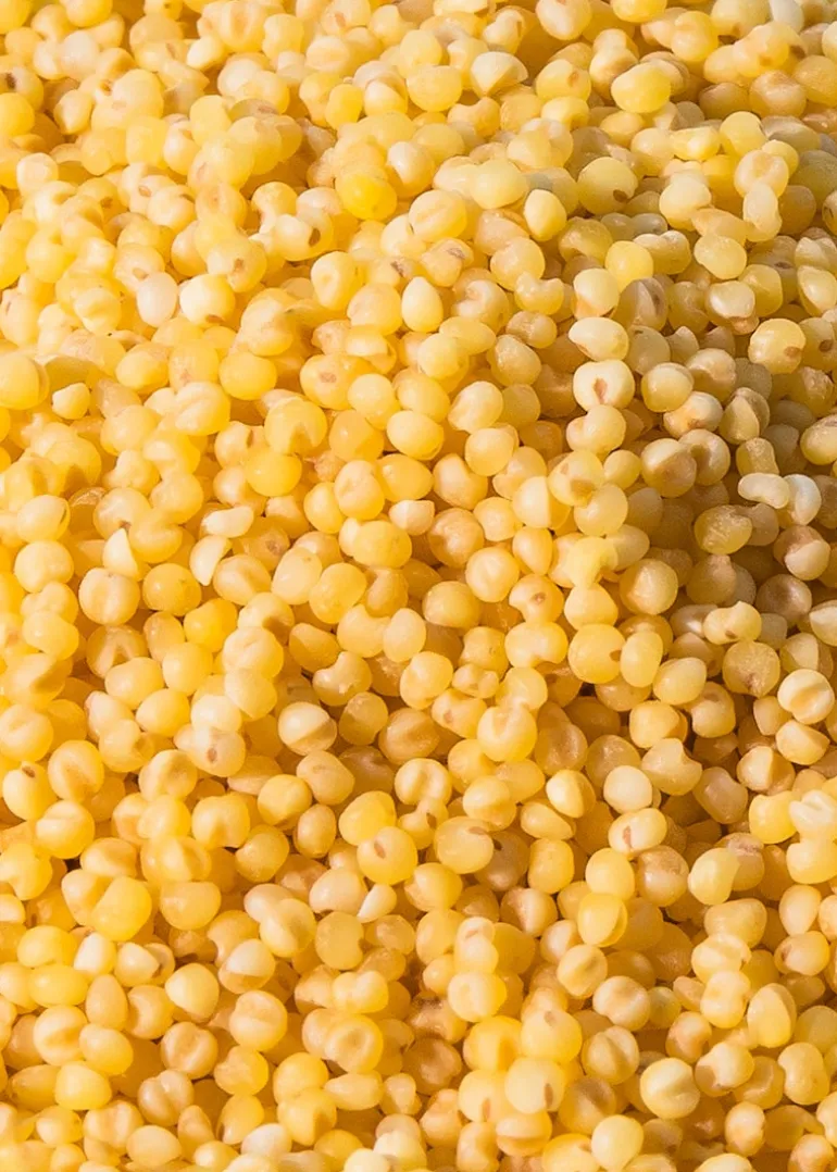 Bio Hirse 2 kg