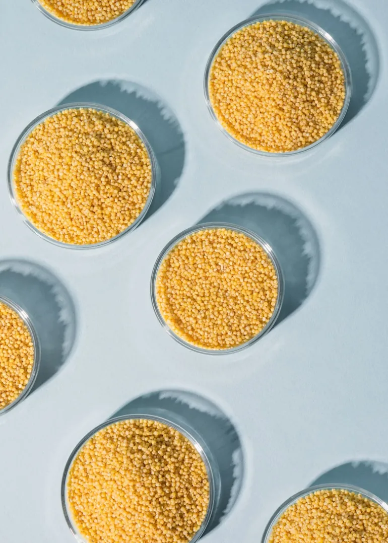 Bio Hirse 2 kg