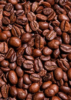 Bio Kaffee Crema ganze Bohne 1 kg