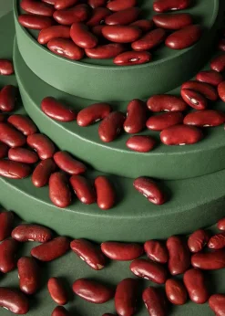 Bio Kidneybohnen 2 kg