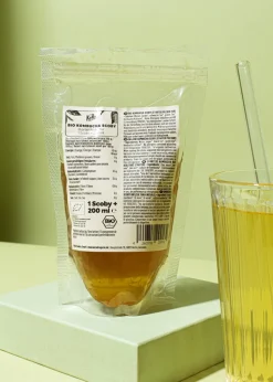 Bio Kombucha Scoby