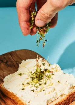 Bio Kressesamen 1 kg