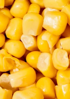 Bio Mais in der Dose 140 g
