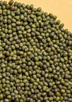 Bio Mungbohnen 2 kg