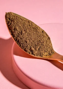 Bio Reishi Pulver 250 g