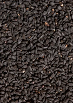 Bio Schwarzkümmelsamen 1 kg