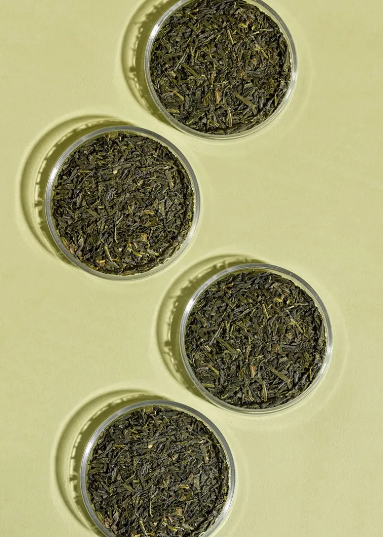 Bio Sencha Tee aus Japan 500 g
