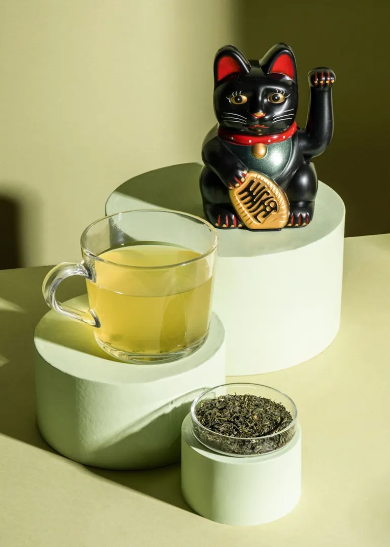Bio Sencha Tee aus Japan 500 g
