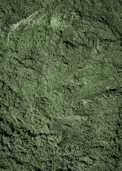 Bio Spirulina Pulver 500 g