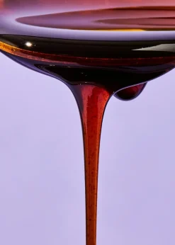 Bio Yaconsirup 500 ml