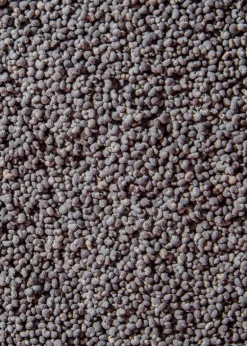 Blaumohn 1 kg