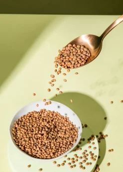 Braune Bio Linsen 2 kg