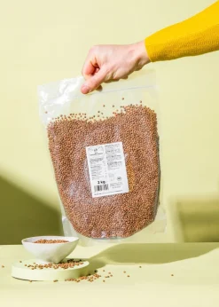 Braune Bio Linsen 2 kg