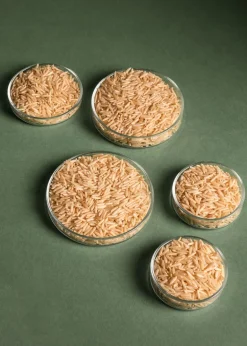 Brauner Bio Basmati Reis 5 kg