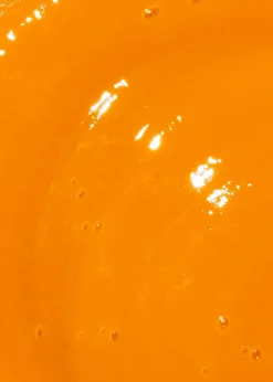 Fruchtpüree Mango 1 kg