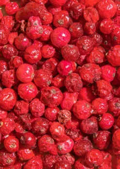 Gefriergetrocknete rote Johannisbeeren 500 g