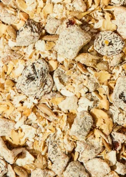 Gekeimtes Bio Porridge Früchte 1 kg