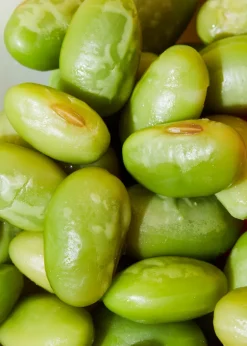 Grüne Bio Edamame in der Dose 130 g
