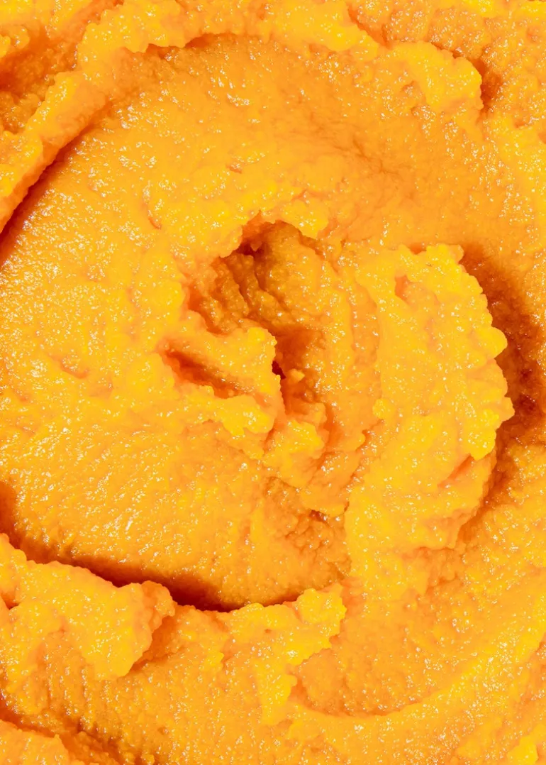 Kürbispüree 425 g