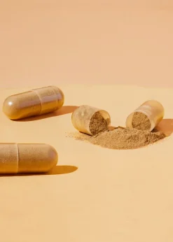 Natürliches Eisen + Vitamin C aus Curryblatt und Hagebutte Kapseln 180 Stück
