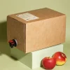 Naturtrüber Apfelsaft Bag-in-Box 5 L