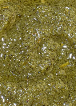 Pesto mit Salbei 180 g
