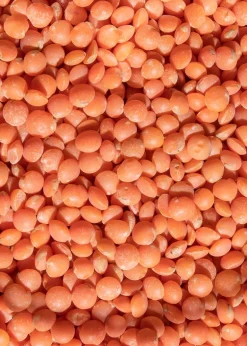 Rote Bio Linsen 2 kg