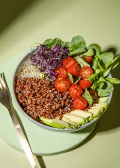 Rote Bio Quinoa 2 kg