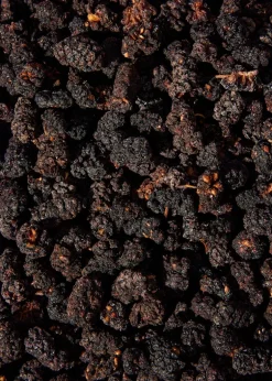 Schwarze Bio Maulbeeren 1 kg