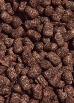 Soja Protein Crispies 77 % mit Kakao 1 kg