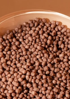 Soja Protein Crispies mit Kakao und 58 % Protein 1 kg