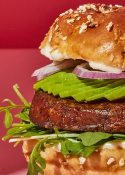 Veganer Bio Burger Tofu und Wakame 160 g
