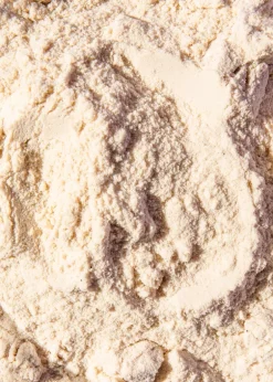Veganes Proteinpulver Vanille 1 kg