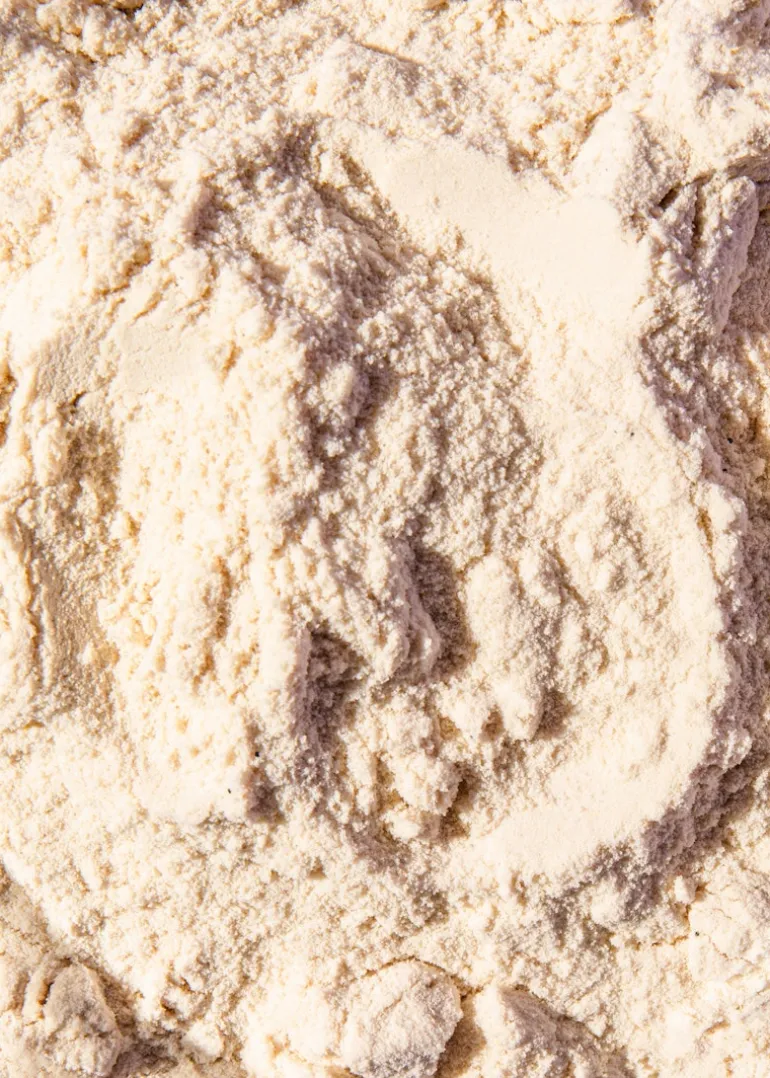 Veganes Proteinpulver Vanille 1 kg