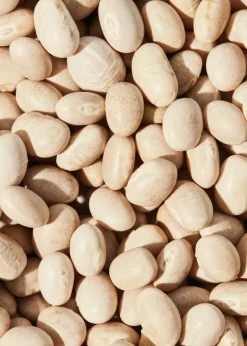 Weiße Bio Bohnen 2 kg
