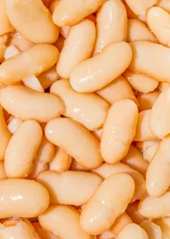 Weiße Bio Cannellini Bohnen in der Dose 240 g