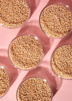 Weiße Bio Quinoa 2 kg