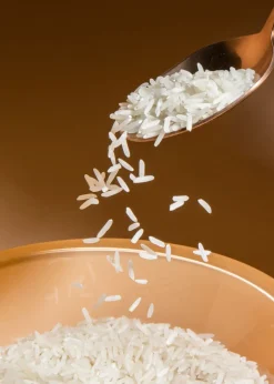 Weißer Bio Basmati Reis 5 kg