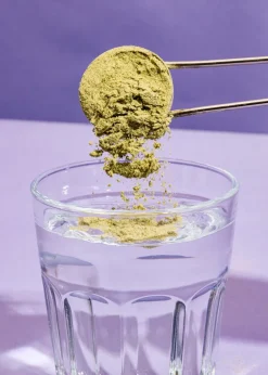 X44 Superfood Powder ohne Süßungsmittel 600 g